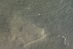 CCS Metallic Carbon Dust