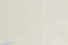 CCS Metallic Platinum White