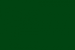 CCS Rembrandt Antique Green Concrete Stain
