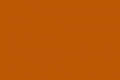 CCS Rembrandt Raw Umber Concrete Stain