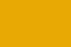 CCS Rembrandt Sunflower Concrete Stain